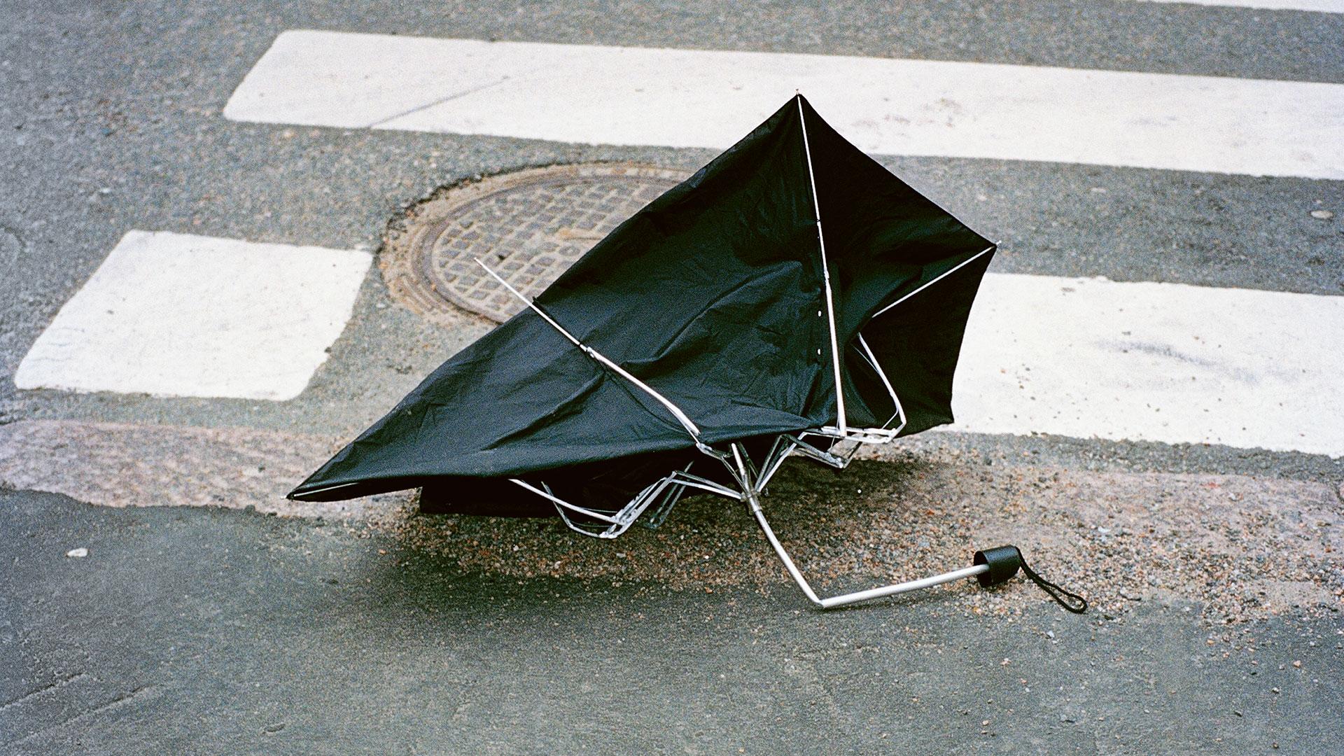 Explore the SS19 collection