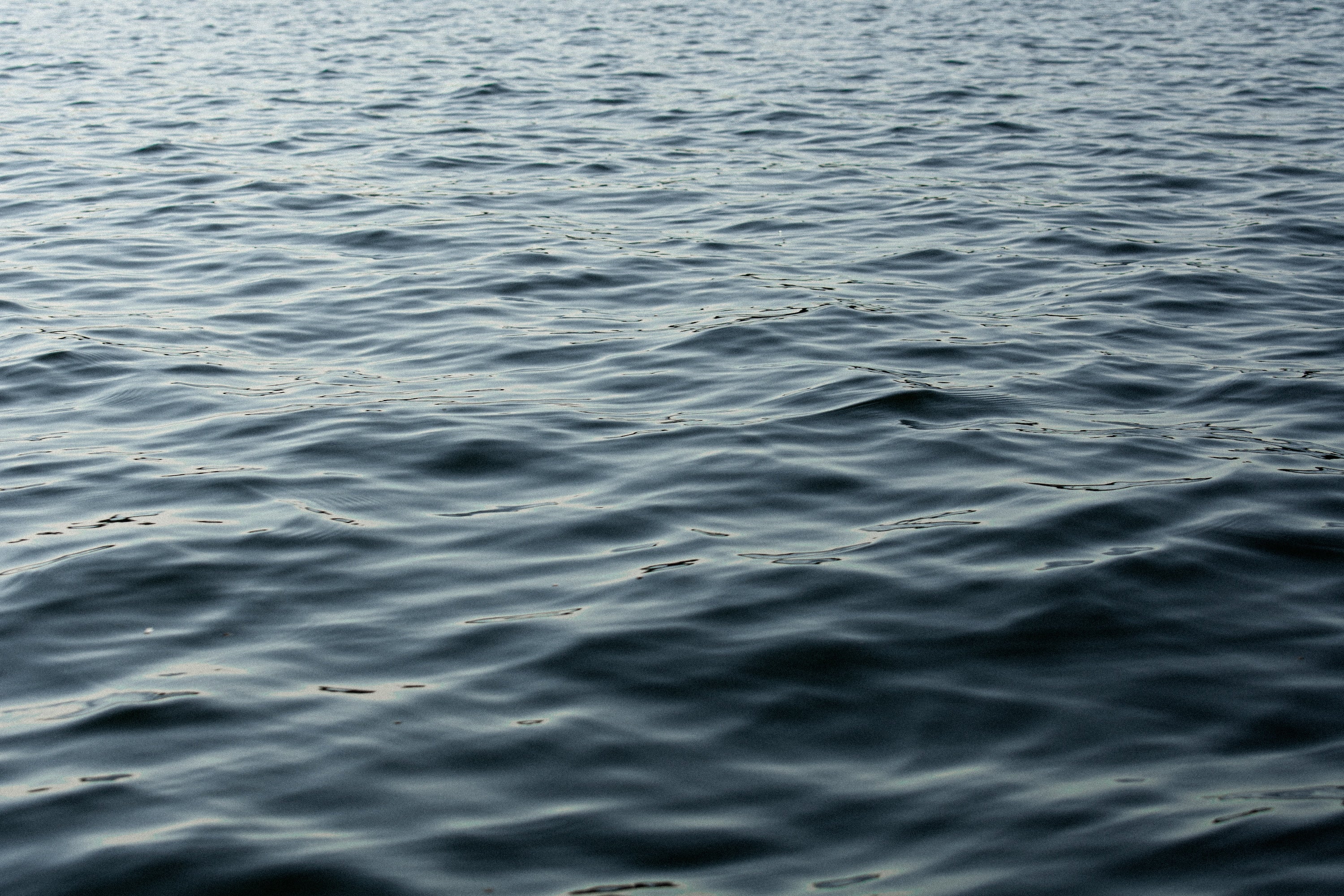 Happy Baltic Sea Day